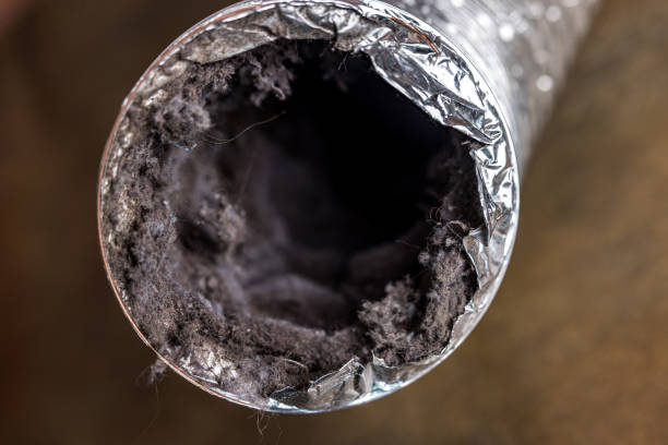 Best Dryer Vent Cleaning Services  in Hemby Bridge, NC