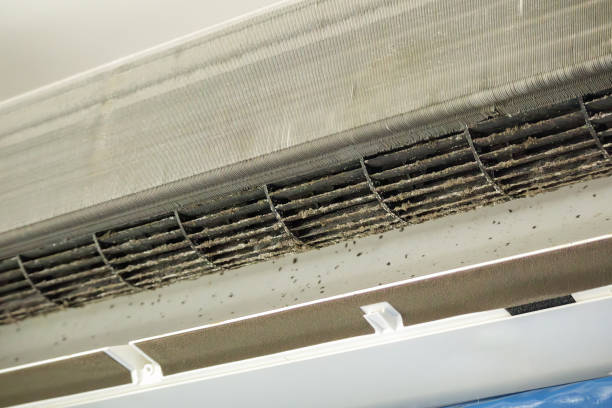 Best Best Air Duct Cleaning Company  in Hemby Bridge, NC